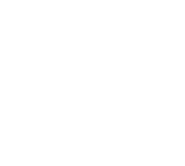 Fokker logo wit